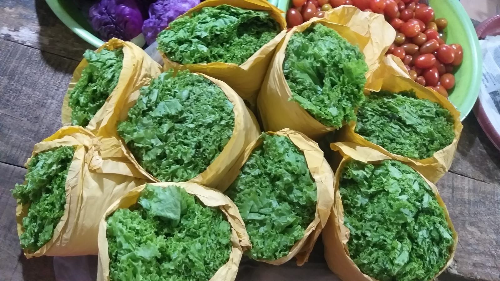 Sayur segar pilihan